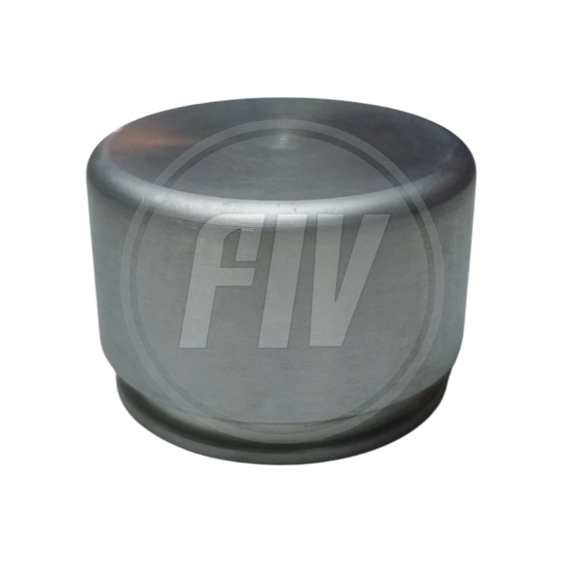 PC TOYOTA BURBUJA, NISSAN MAXIMA (45,5MM X 29MM) (LAMAUTO) 2