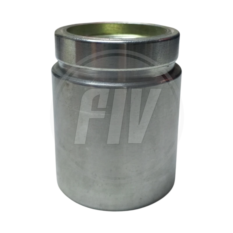 PC FORD F-350 2003 TRAS (47,5MMX60MM) 2