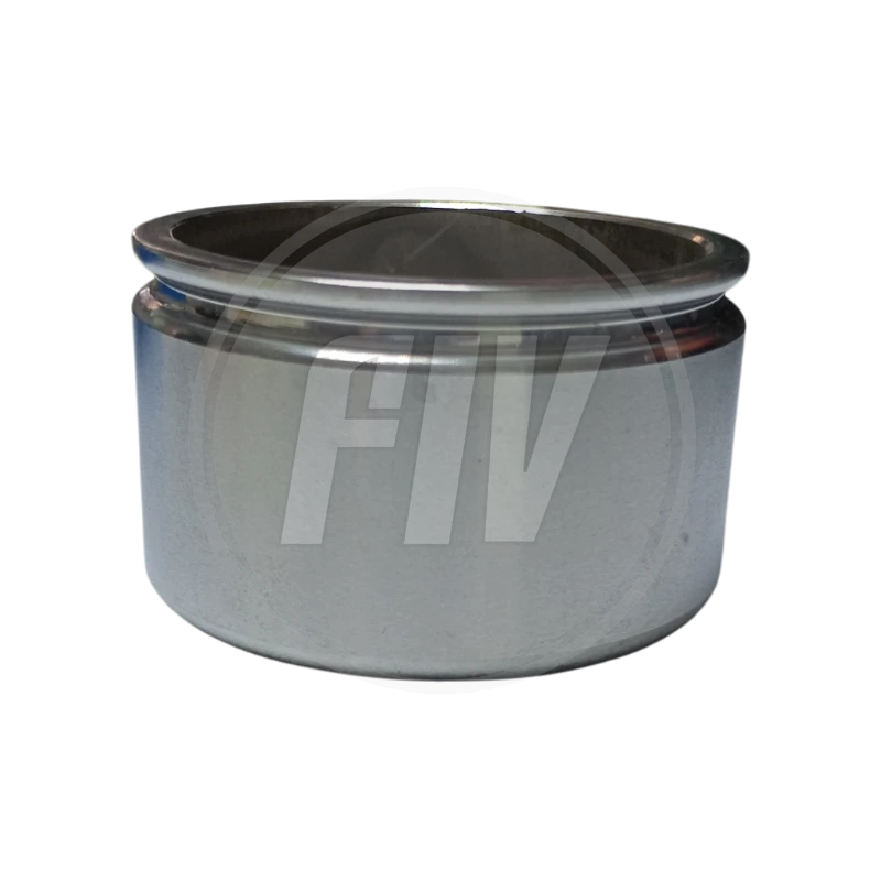 PC FORD FAIRLANE 76/77, DODGE D-100 (78,5MM X 46,5MM) 1