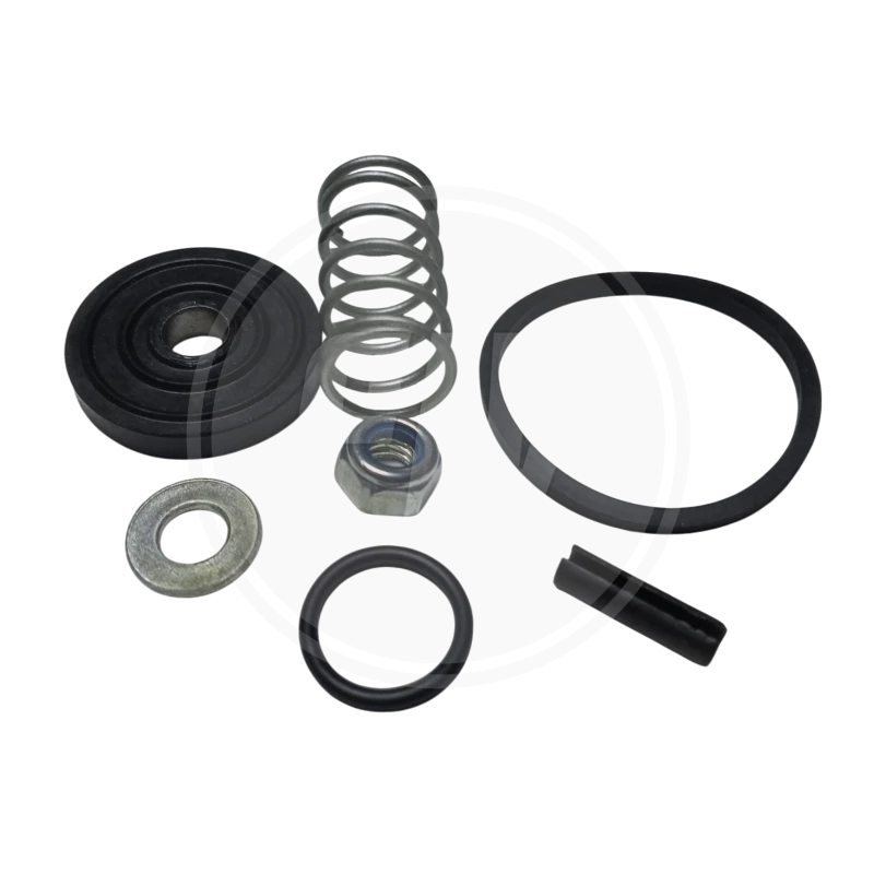 KIT DE REPARACION VALVULA PP1 1