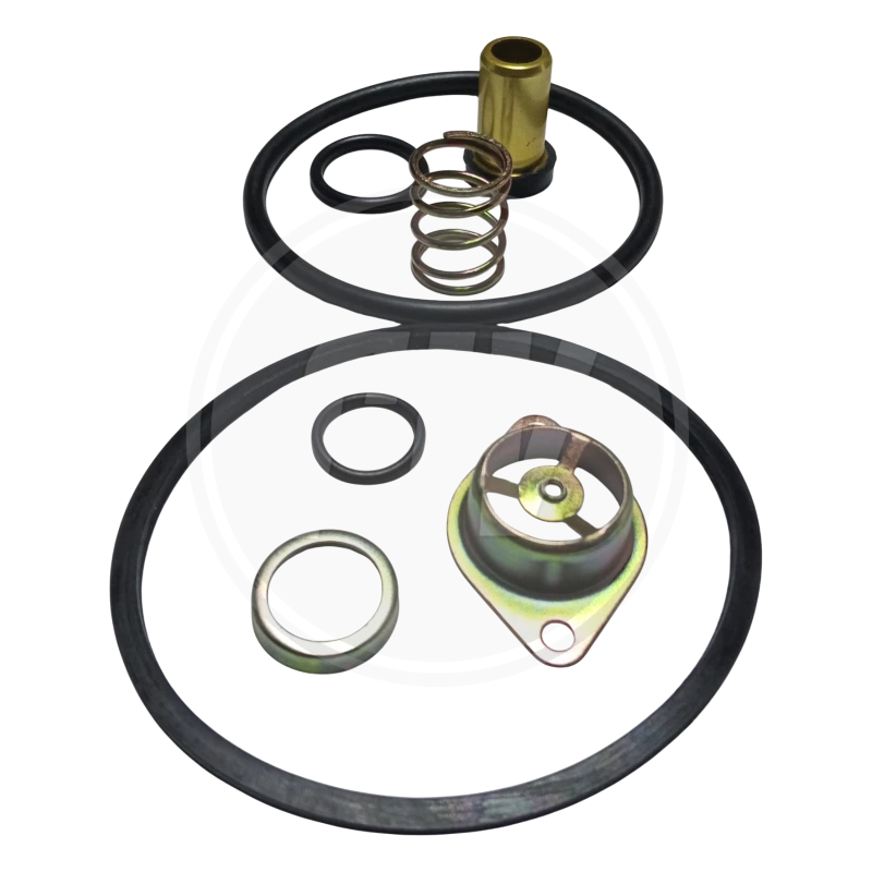 KIT MAYOR DE REPARACION VALVULA R-6 (GPC) 1