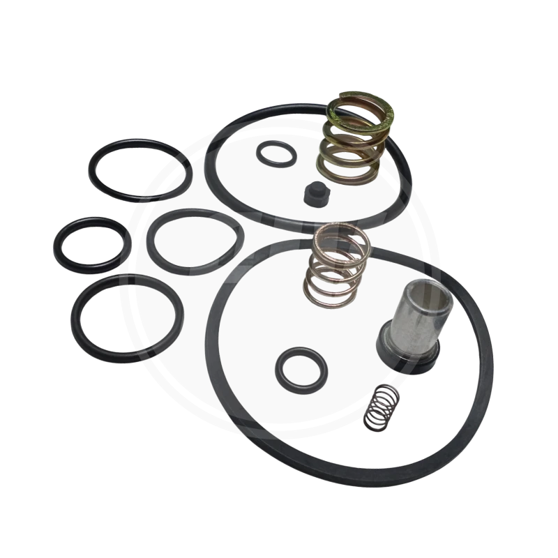 KIT DE REPARACION VALVULA RE-6 (GPC) 1