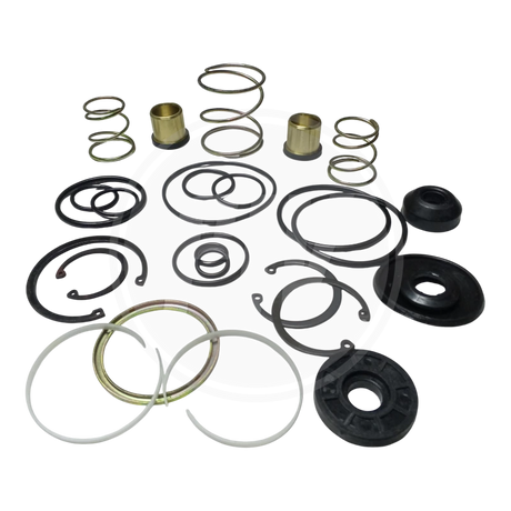 KIT VALVULA PEDAL FORD CARGO 815/1721(LYC) 1