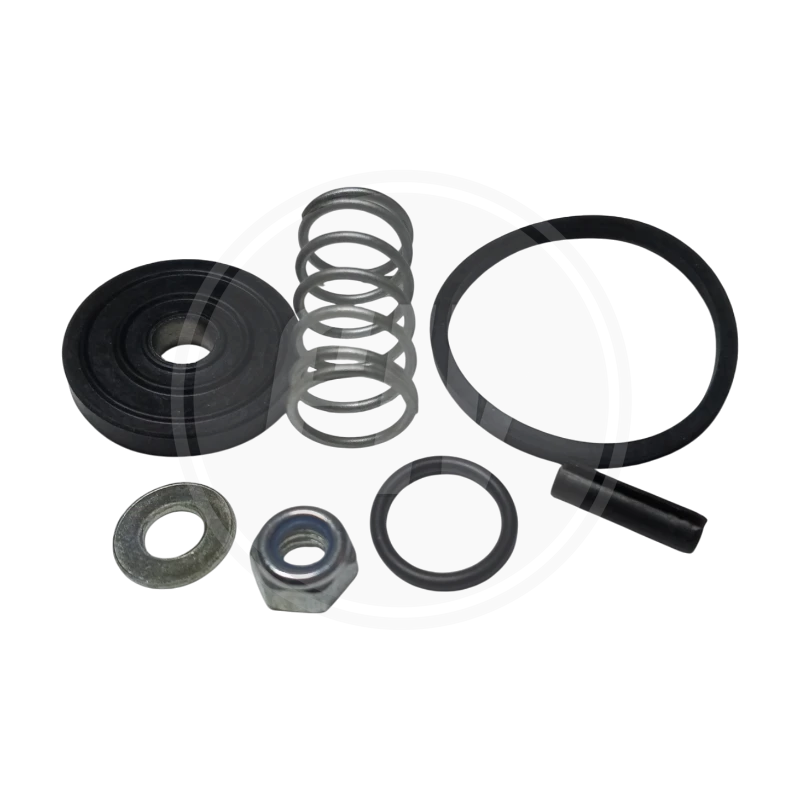 KIT DE REPARACION VALVULA PP1 2