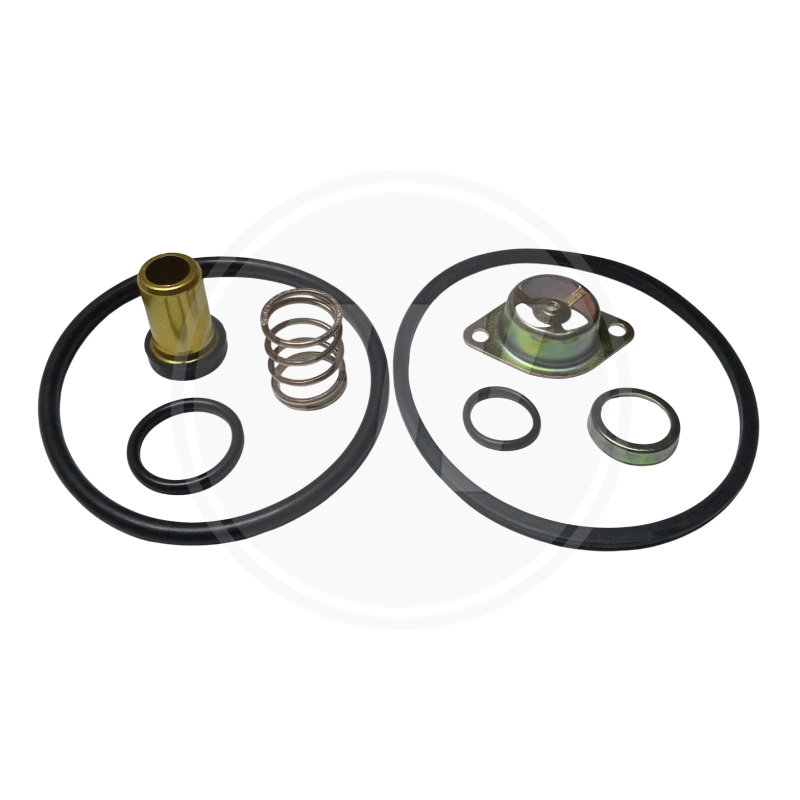 KIT MAYOR DE REPARACION VALVULA R-6 (GPC) 2