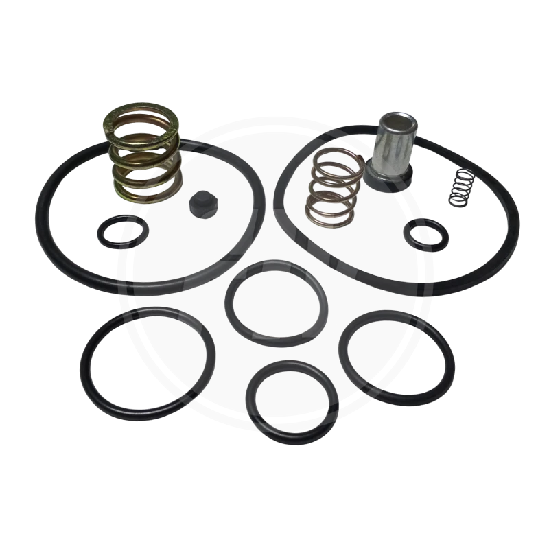 KIT DE REPARACION VALVULA RE-6 (GPC) 2